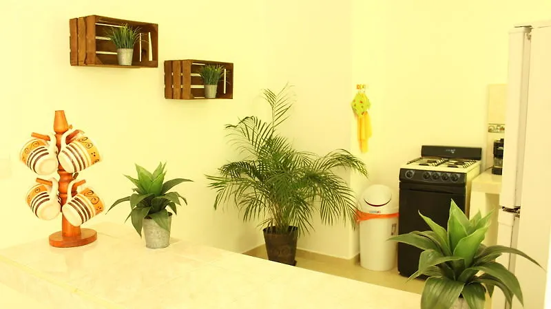 호텔 Macao Apartamento 신데 델 카르멘
